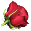 Flowers 24