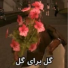گل برای گل