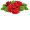 Flowers 27