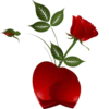 Flowers 28