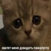 Я.toxic 5