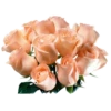 Flowers for Lovely Girl @stickerus 5