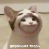 Я.toxic 6