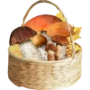 Fruit & Veg Gifts @PunjabiSticker 5