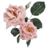 Flowers for Lovely Girl @stickerus 6