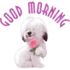 Good Morning @stickersb2b 6