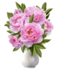 Flowers for Lovely Girl @stickerus 8
