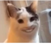 UwU 5