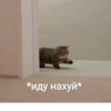 UwU 6