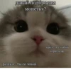 UwU 7