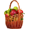 Fruit & Veg Gifts @PunjabiSticker 8