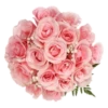 Flowers for Lovely Girl @stickerus 10