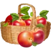 Fruit & Veg Gifts @PunjabiSticker 16