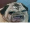 UwU 20