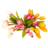 Flowers for Lovely Girl @stickerus 17