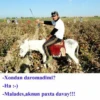 -Xondan daromadimi? -Ha :-) -Malades,aknun paxta davay!!!