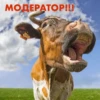 wow_cow 11