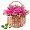 Flowers for Lovely Girl @stickerus 20