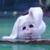 By : @GOGOOL_GIF 🐰☁️ 20