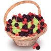 Fruit & Veg Gifts @PunjabiSticker 23