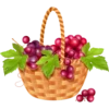 Fruit & Veg Gifts @PunjabiSticker 24