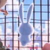 By : @GOGOOL_GIF 🐰☁️ 23