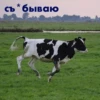 wow_cow 15