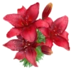 Flowers for Lovely Girl @stickerus 23