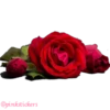Flowers 🌸@pinkstickers🌸 28