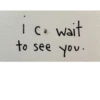 I c₂ wait to see you.
