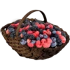 Fruit & Veg Gifts @PunjabiSticker 27