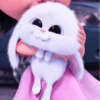 By : @GOGOOL_GIF 🐰☁️ 27