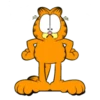 Garfield & friends 28