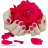 Flowers 🌸@pinkstickers🌸 30