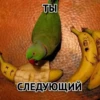 Злойпак от 7