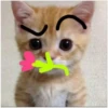 💕 Стики тYт: 6