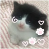 💕 Стики тYт: 7