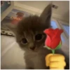 💕 Стики тYт: 8