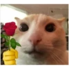 💕 Стики тYт: 9
