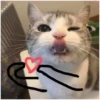 💕 Стики тYт: 11