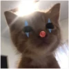 💕 Стики тYт: 12