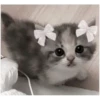 💕 Стики тYт: 13