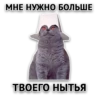 Злойпак от 13