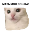 zalupa_kitty 13