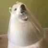Sad Yeds 8