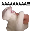 zalupa_kitty 18