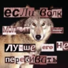 Волк за брата 10