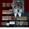 Волк за брата 11