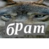 Волк за брата 12