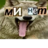 Волк за брата 13